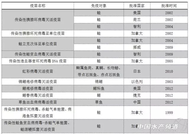 �������~�ò���������о��Mչ