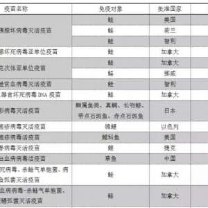 ����(n��i)���~�ò���������о��M(j��n)չ