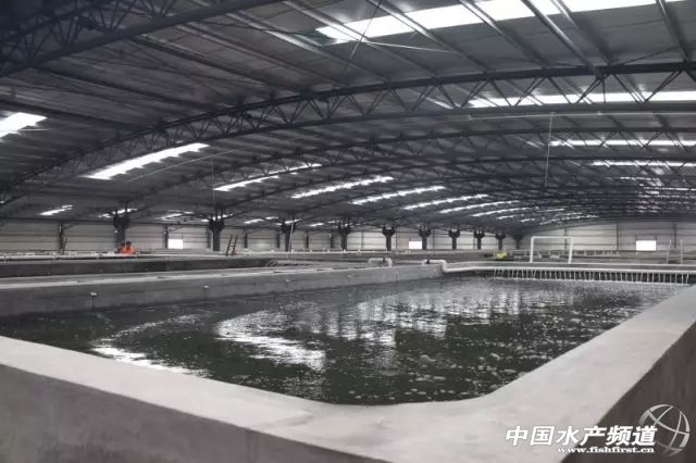 ��3700����������B����a10�f�����_�����r