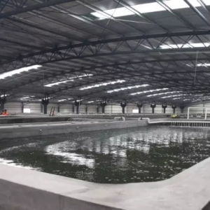 ��3700����������B����a10�f�����_�����r