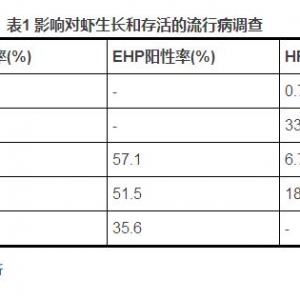 ȫ����+ȫ���� ��δ���@�׹��S���B(y��ng)�r