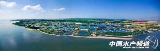 һ��ι13�ͣ�һ���±���4�Σ�������ʲô��