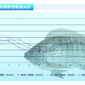 �_���~������������ �~�r�����ϝq������ˮ�aǰ�ء�2016��10�¿��Ј�څ��