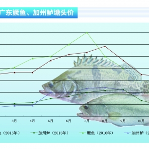 �Z�~�����~���У��~�r���@�»�������ˮ�aǰ�ء�2016��10�¿��Ј�څ��