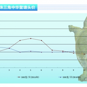 ���~��9���Ҽ��~�r���^�m����������ˮ�aǰ�ء�2016��10�¿��Ј�څ��