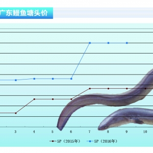 ���~����ꑮa(ch��n)�^(q��)�r(ji��)��ַ�(w��n) �����^(q��)���~�r(ji��)���������ˮ�a(ch��n)ǰ�ء�2016��10�¿��Ј�(ch��ng)څ��(sh��)