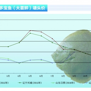 �����ң��������½� �p�����Ӄr�����ߡ�����ˮ�aǰ�ء�2016��10�¿��Ј�څ��