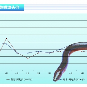 �S�X���r��ƽ���ϝq������ˮ�aǰ�ء�2016��10�¿��Ј�څ��