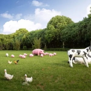 �@�Ҍ�ע���в�ˎ��ȡ�����I���Ϋ@�ñ��������I����A��