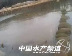 һ�����Сˮ�w�U�~���D�B(y��ng)�����׌��r�ļ��g�P�I�c