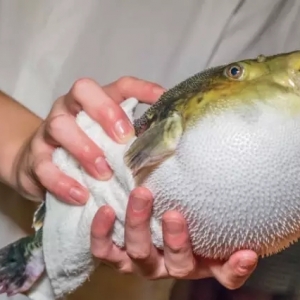 �r�I�����������Bֳ�����~Դ��������