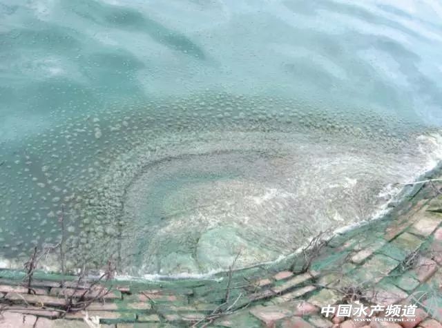 �Oˎʹ���и��N�`�^(q��)�������ע�⣬���±����룡