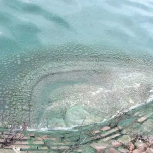 �Oˎʹ���и��N�`�^�������ע�⣬���±����룡