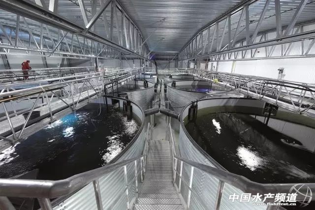 ѭ�h(hu��n)ˮ�B(y��ng)ֳ�Ƿ�����b���ɼ���15�fҲ�����D��