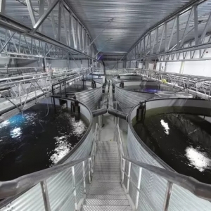 ѭ�hˮ�Bֳ�Ƿ�����b���ɼ���15�fҲ�����D��