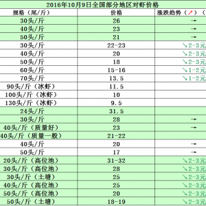 2016��10��9�ո��،��r����з���r�����麆��