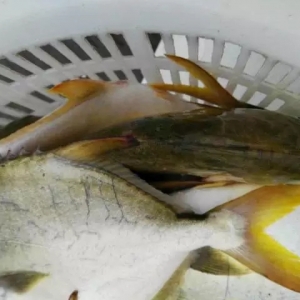 ����С���x�֔_��տ����ɳ���Bֳ���K�~�ֲ��ֻ�������