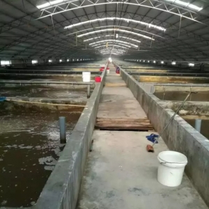 ÿƽ�a�����_20��������S���B�r��Ͷι�������֪����