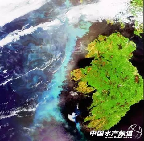 �W�˲����l(w��i)�ǡ����ۡ��ʹ�(sh��)��(j��)����ˮ�a�B(y��ng)ֳ