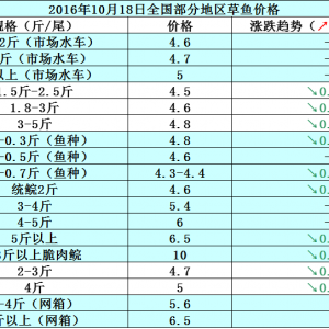 2016��10��18�ղ��~���_���~���a�~����з������߅�r