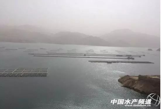 ��ˮ�~�B(y��ng)ֳ���׺�ҕ��3������(ji��)�㶼ע���ˆ�