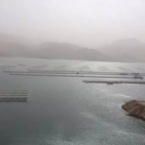 ��ˮ�~�Bֳ���׺�ҕ��3�������㶼ע���ˆ�