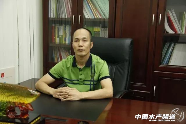 ����������ƽ�ӱ��I(y��)�յİl(f��)չ�ܴa���ث@���m(x��)���������L��