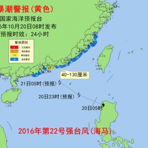 Live | ���_�L�����R���ڏV�|��β���S���T悡����