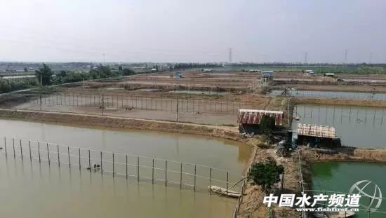 ���ϏV�|�V����12���B(y��ng)�rʡ��10�·݄ӑB(t��i)�R���������r�B(y��ng)ֳ���ԣ������r�B(y��ng)ֳ�����T����