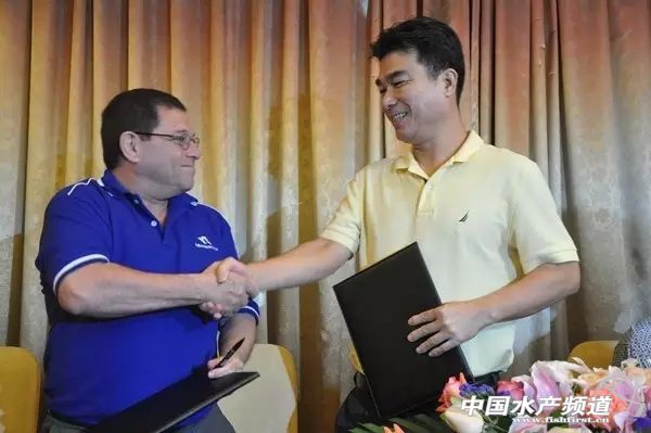 �𺣽Ǡ����{ɫ�����M���Ї� ���r65����/β