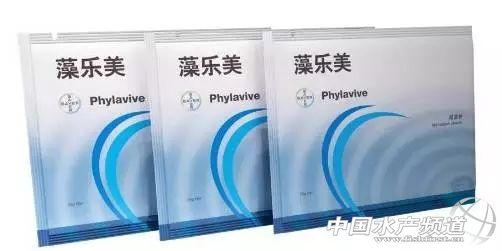 �ݶ�Ů���O(ji��n)�������µĘI(y��)�����L�c�������Ƴ���ˮ�~�aƷ