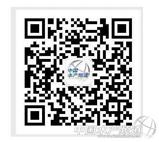 �l��΢�n����|��ע������о�28�꣡���ώ������W��С��������B(y��ng)�͑���