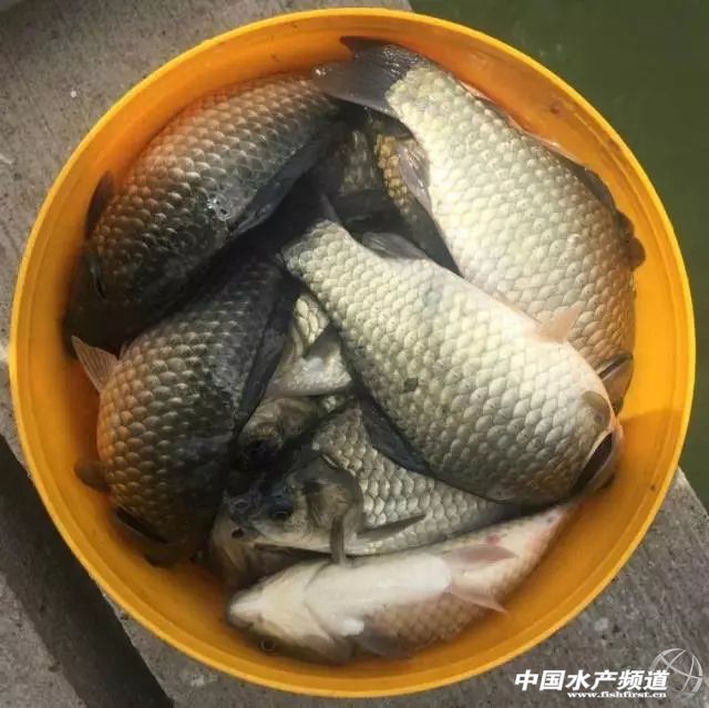 �A�|�a�~�߰l(f��)�����a�~���N���»�10%-15%���������F(xi��n)�D�B(y��ng)��