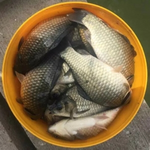 �A�|�a�~�߰l�����a�~���N���»�10%-15%���������F�D�B��