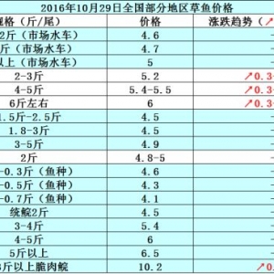 2016��10��29�ղ��~���_���~���a�~������߅�r