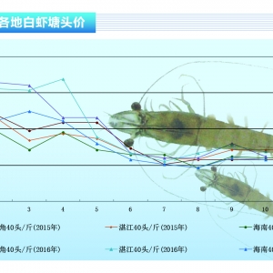 ���r���Ј����M�s�p �r�r�»�������ˮ�aǰ�ء�2016��11�¿��Ј�څ��