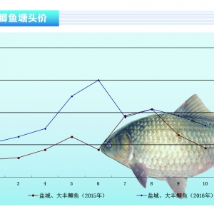 �a�~��11���~�r�򌢷�(w��n)������������ˮ�a(ch��n)ǰ�ء�2016��11�¿��Ј�څ��