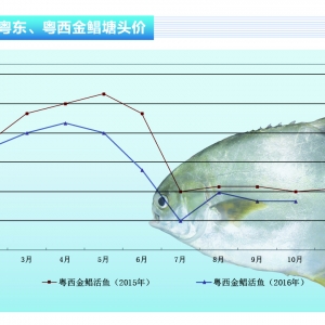 ���K���a�^���׃r����Ʒ���l�r�p�p�µ�������ˮ�aǰ�ء�2016��11�¿��Ј�څ��