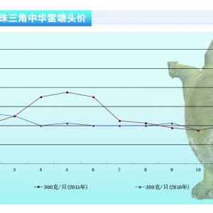 ���~��ʮ�r�񲨞����@������ˮ�aǰ�ء�2016��11�¿��Ј�څ��