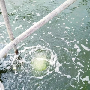 ������|С�ﴺ�����r�Bֳ�����P�I�c