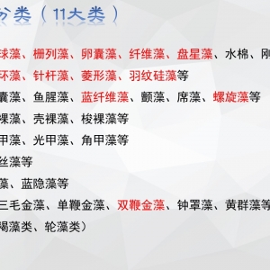  �n�Pӛ | һ��֪��С�������B�c���õ���Щ��