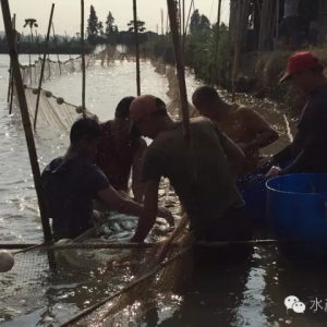 �����|��uӭ���^���~���~�߷壬���~ǰ������Ҫע���@Щ������