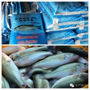 ����������ļ����|�Bֳ��������ɴ�ƤЬι�~��ι�����裡�����@ô��