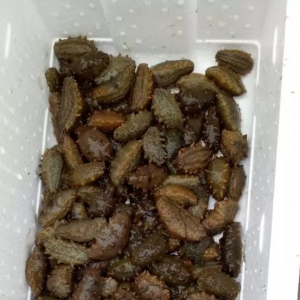 �����硢�σr�����ϝq��ɽ�|�D׃ģʽ��Ӱ�ϼ�ֺ����Bֳ���