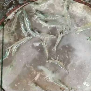 ���S���B�r�wɫ�l�{��ԓ��ô�ƣ�