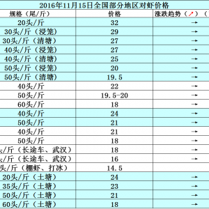 2016��11��15�ո��،��r���_���~���r��