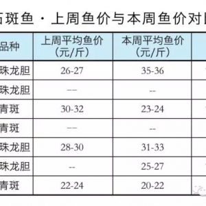 2016��11��16��ʯ���~(y��)/�����~(y��)/�����r(ji��)������