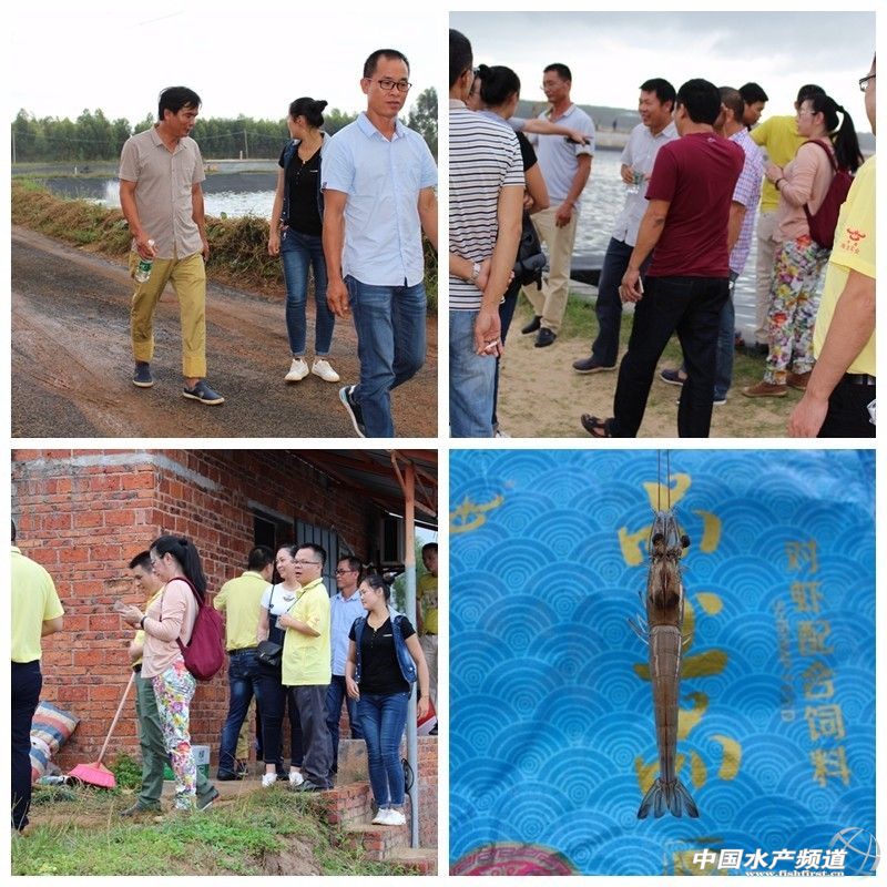 �BֳЧ����28��230�^�ױ��r׃��38�^