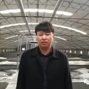 ��һ��(g��)80�����p�ˣ���Ҫ�ÿϵ»���ģʽȥ�B(y��ng)�r