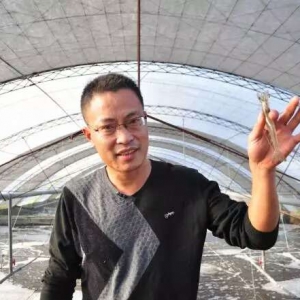 �����~�Bֳ�D���B�r�к��E�[��